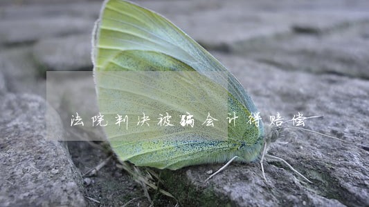 法院判决被骗会计得赔偿 法院判决被骗会计得赔偿