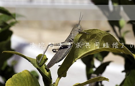 法院判决要求共同赔偿205万元 法院判决要求共同赔偿205万元
