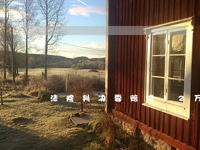 法院判决要赔偿12万多 法院判决要赔偿12万多