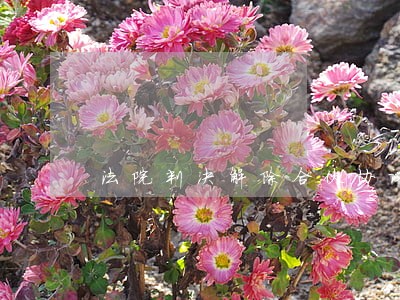 法院判决解除合伙协议 法院判决解除合伙协议
