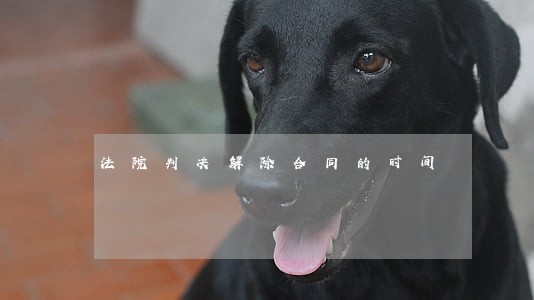 法院判决解除合同的时间 法院判决解除合同的时间