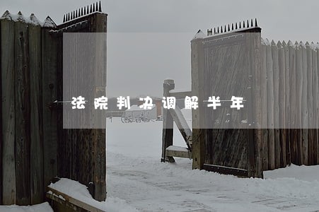 法院判决调解半年