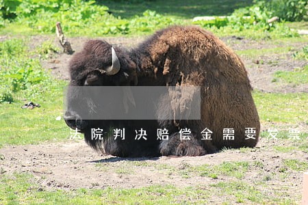 法院判决赔偿金需要发票吗 法院判决赔偿金需要发票吗
