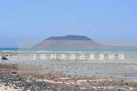 法院判决返还重复赔偿