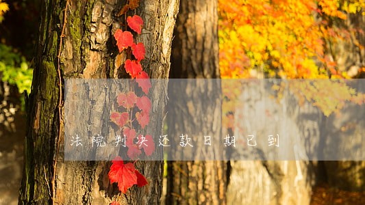 法院判决还款日期已到 法院判决还款日期已到