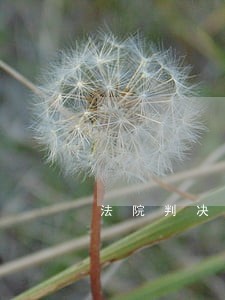 法院判决还款还一部分 法院判决还款还一部分