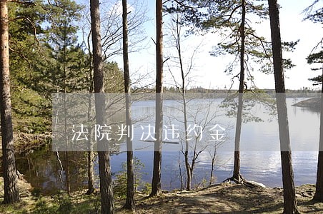 法院判决违约金 法院判决违约金