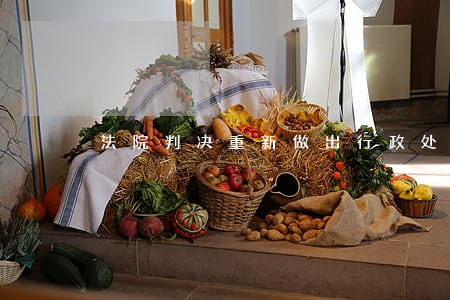 法院判决重新做出行政处罚 法院判决重新做出行政处罚