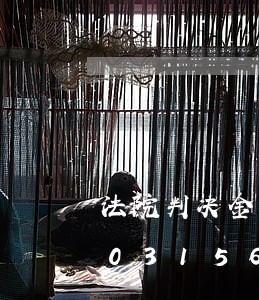 法院判决金额是否作为计税依据/2023031560183 法院判决金额是否作为计税依据/2023031560183