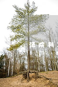 法院判决错误如何追责 法院判决错误如何追责
