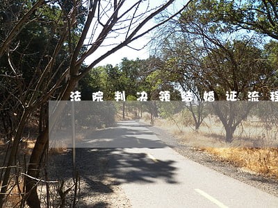 法院判决领结婚证流程
