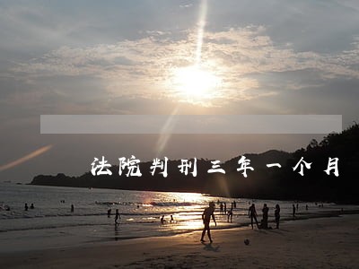 法院判刑三年一个月 法院判刑三年一个月