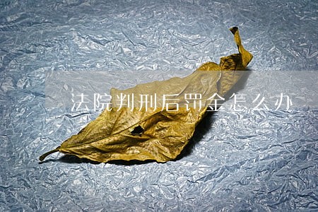 法院判刑后罚金怎么办 法院判刑后罚金怎么办