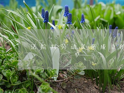 法院判劳动关系成立的条件是什么 法院判劳动关系成立的条件是什么