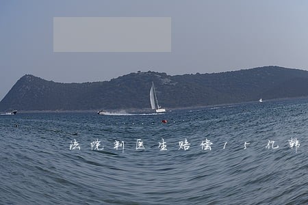 法院判医生赔偿15亿韩元 法院判医生赔偿15亿韩元