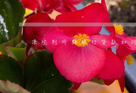 法院判同期银行贷款如何计算 法院判同期银行贷款如何计算