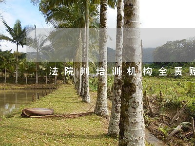 法院判培训机构全责赔偿13万 法院判培训机构全责赔偿13万