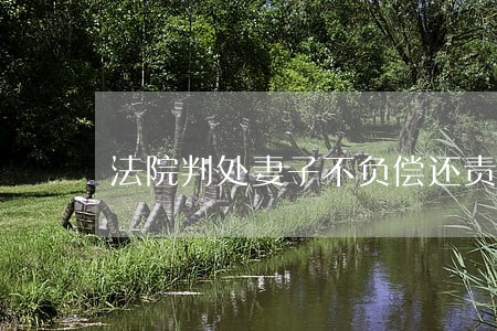 法院判处妻子不负偿还责任 法院判处妻子不负偿还责任