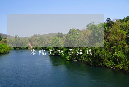 法院判孩子归我 法院判孩子归我