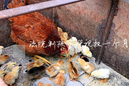 法院判孩子探视权一个月几次 法院判孩子探视权一个月几次