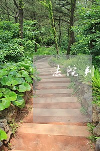 法院判完后非法证据排除吗