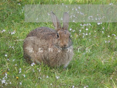 法院判定为工伤 法院判定为工伤
