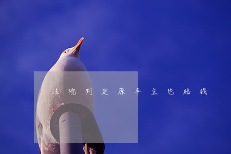 法院判定原车主也赔钱 法院判定原车主也赔钱