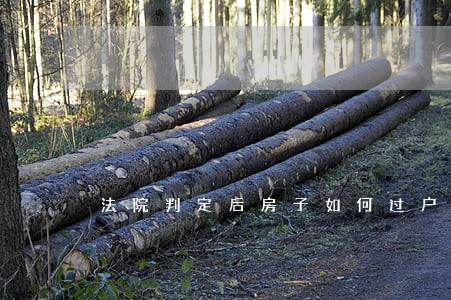 法院判定后房子如何过户 法院判定后房子如何过户