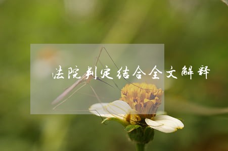 法院判定结合全文解释 法院判定结合全文解释