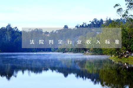 法院判定行业收入标准