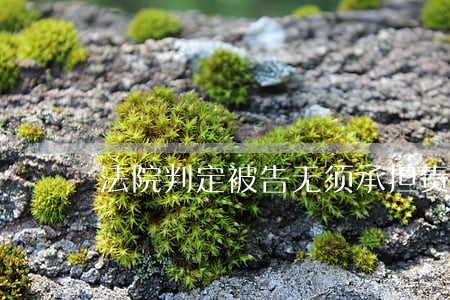 法院判定被告无须承担责任 法院判定被告无须承担责任