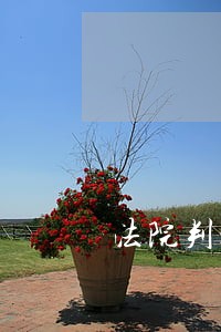 法院判定要考虑什么