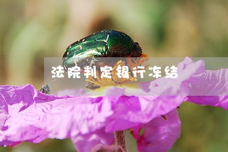 法院判定银行冻结 法院判定银行冻结