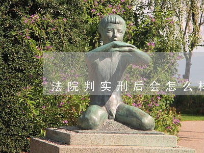 法院判实刑后会怎么样