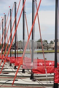 法院判宠物主人作赔偿 法院判宠物主人作赔偿