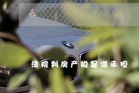 法院判房产税是谁承担 法院判房产税是谁承担
