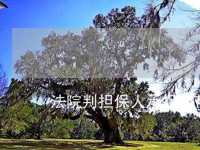 法院判担保人承担连带清偿责任 法院判担保人承担连带清偿责任