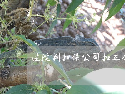 法院判担保公司扣车合法对吗 法院判担保公司扣车合法对吗