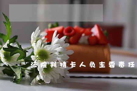 法院判持卡人负主要责任 法院判持卡人负主要责任