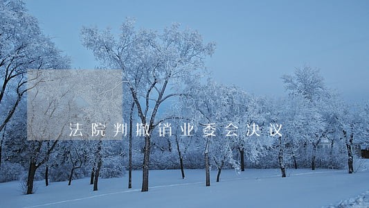 法院判撤销业委会决议 法院判撤销业委会决议
