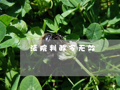 法院判政令无效 法院判政令无效