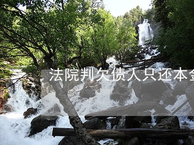 法院判欠债人只还本金吗 法院判欠债人只还本金吗
