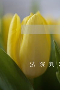 法院判没收全部财产 法院判没收全部财产