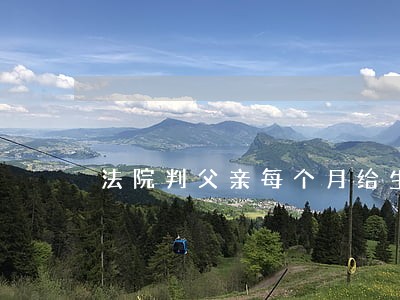 法院判父亲每个月给生活费 法院判父亲每个月给生活费
