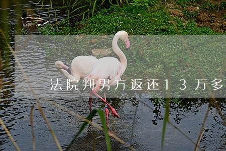 法院判男方返还13万多 法院判男方返还13万多