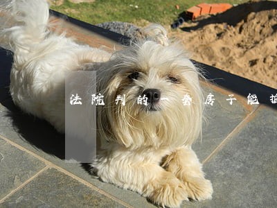 法院判的一套房子能拍卖吗 法院判的一套房子能拍卖吗