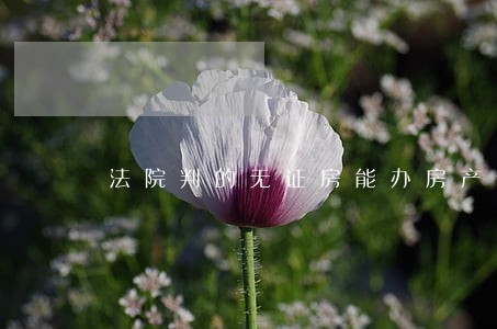 法院判的无证房能办房产证么 法院判的无证房能办房产证么
