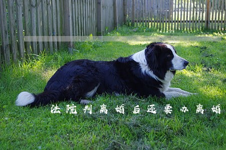 法院判离婚后还要办离婚手续吗 法院判离婚后还要办离婚手续吗