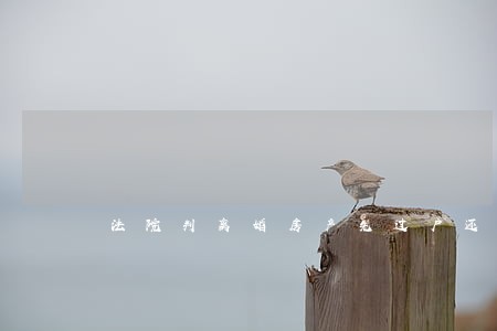 法院判离婚房产先过户还是先给钱 法院判离婚房产先过户还是先给钱
