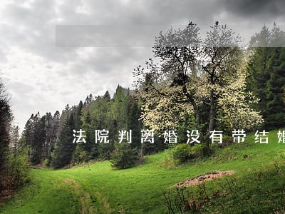 法院判离婚没有带结婚证可以判吗